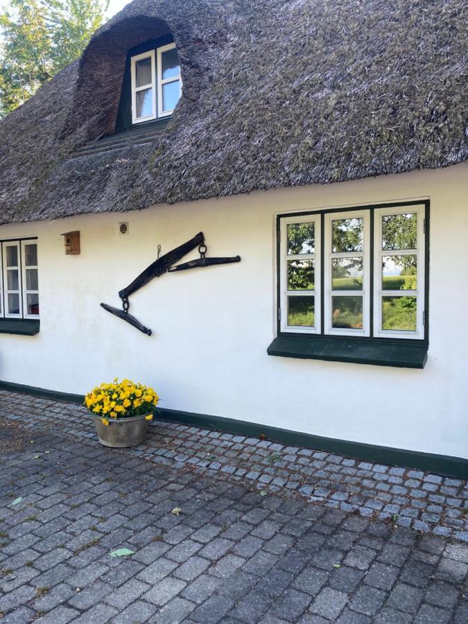 Skovlyset'S B&B Juelsminde  Bagian luar foto