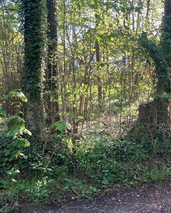 Skovlyset'S B&B Juelsminde  Bagian luar foto