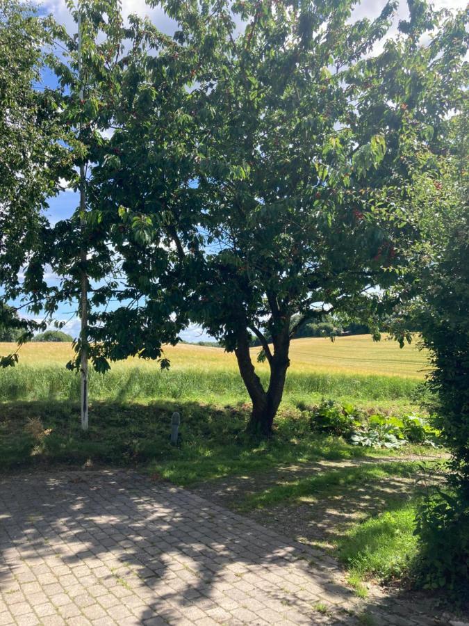 Skovlyset'S B&B Juelsminde  Bagian luar foto