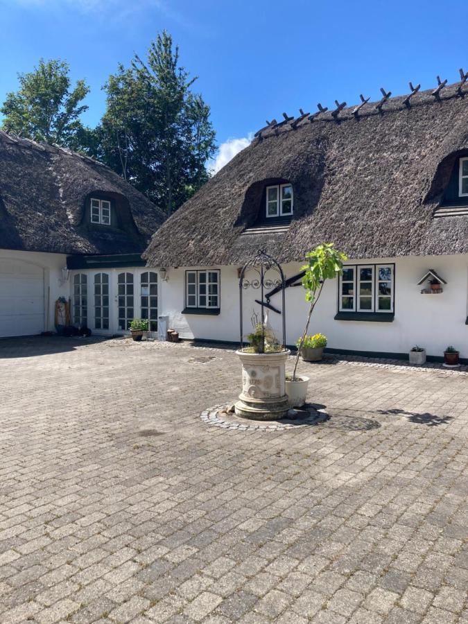 Skovlyset'S B&B Juelsminde  Bagian luar foto