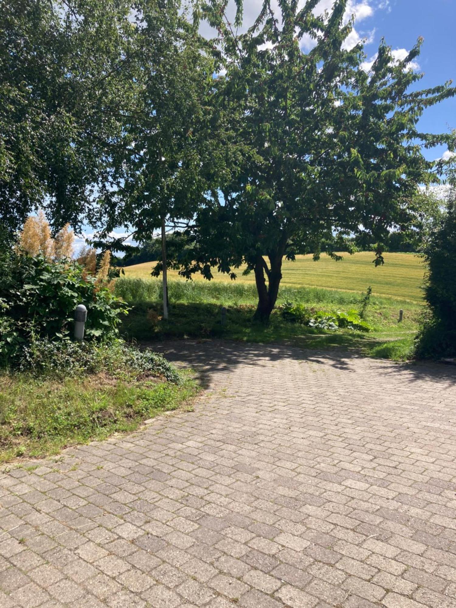 Skovlyset'S B&B Juelsminde  Bagian luar foto