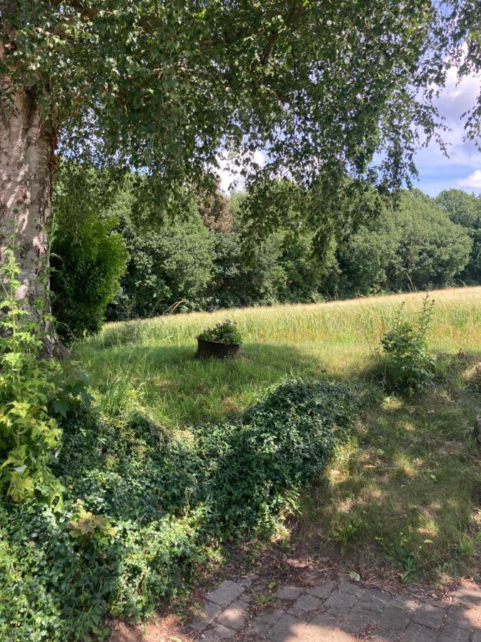 Skovlyset'S B&B Juelsminde  Bagian luar foto