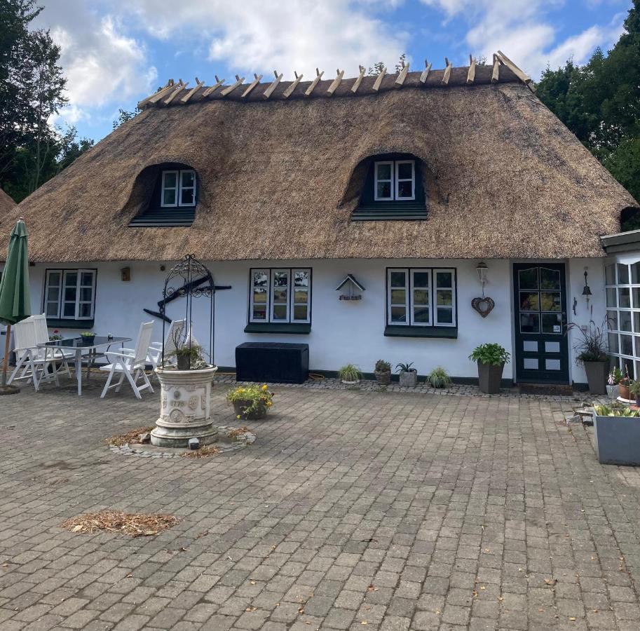 Skovlyset'S B&B Juelsminde  Bagian luar foto